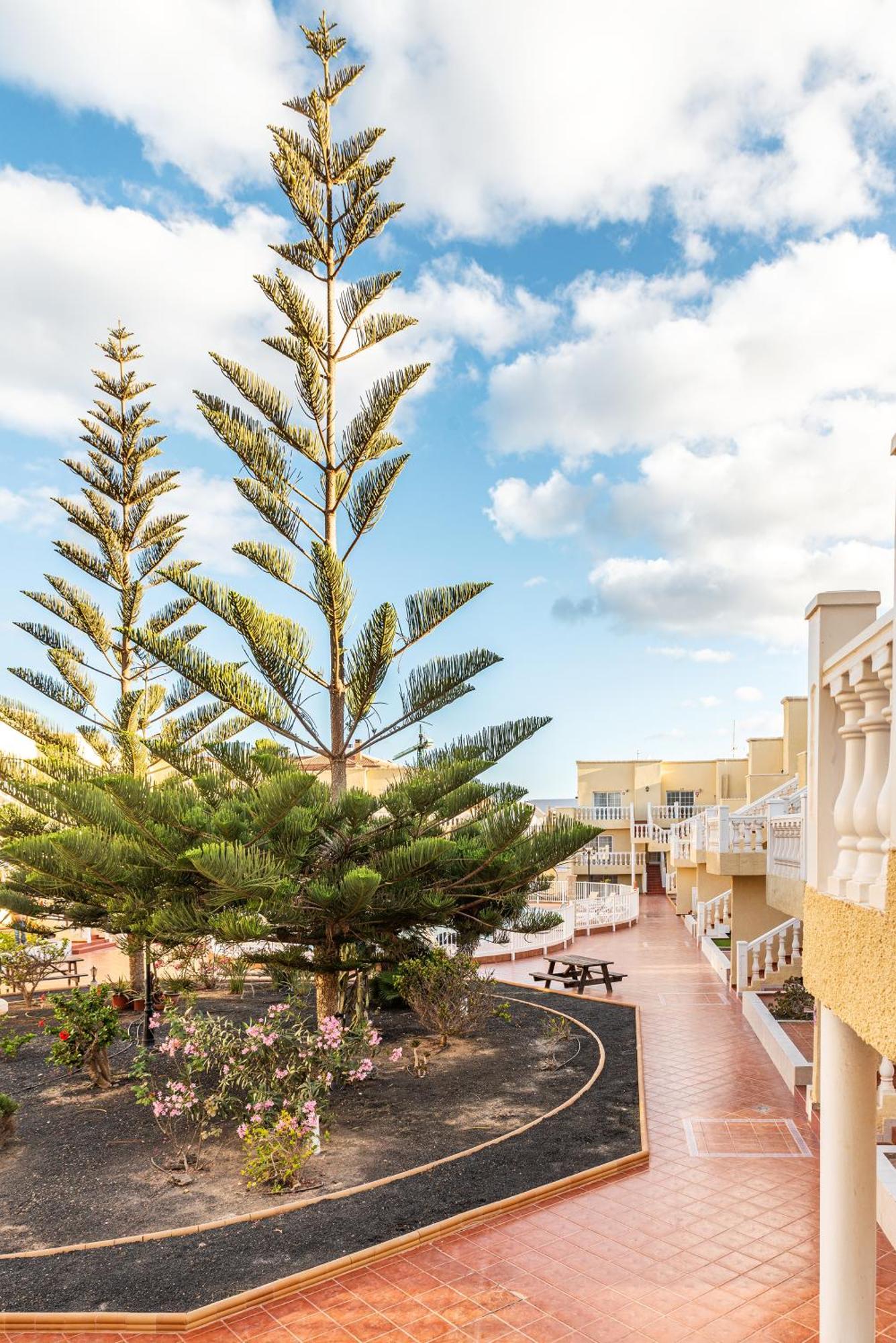 Casita Azul Las Arenas カレタ・デ・フステ エクステリア 写真